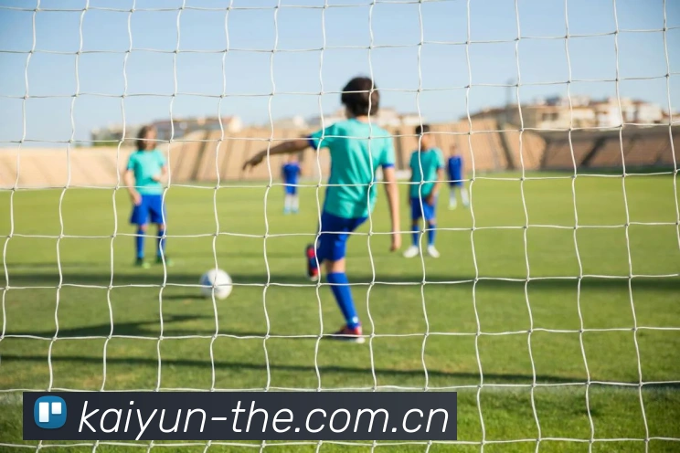 Kaiyun平台生态图